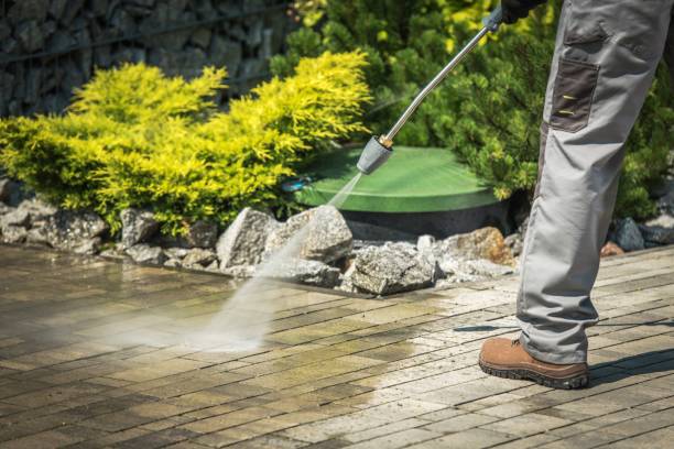 Best Dumpster Area Cleaning  in Shougal, WA