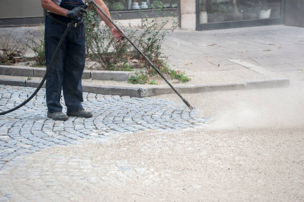 Best Sidewalk and Walkway Cleaning  in Shougal, WA